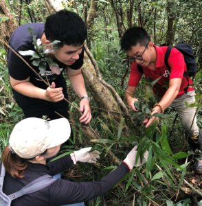 KBCC staff and students from NCYU find L. formosanus in Southern Taiwan. Credit: Jean Linsky/BGCI